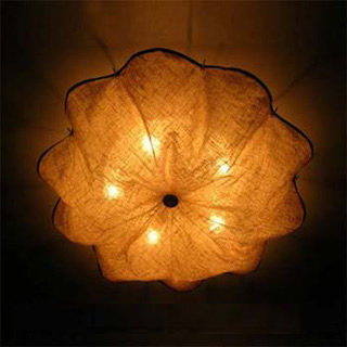 �����FLOS�L(f��ng)��F����