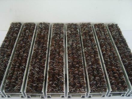 ������m�؉|�坍�����ɲ��`