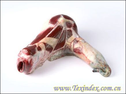 �i�����ļҾ���Ʒ�������