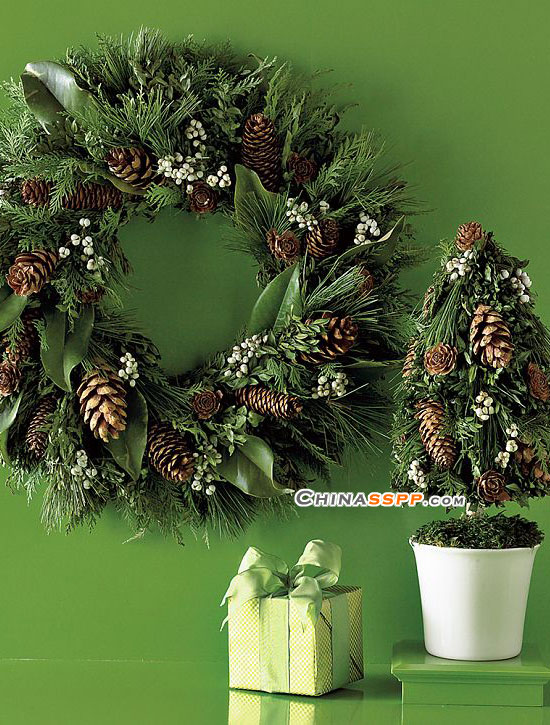 ʥ�Q��(l��i)�������@Щ�b�Ʒ