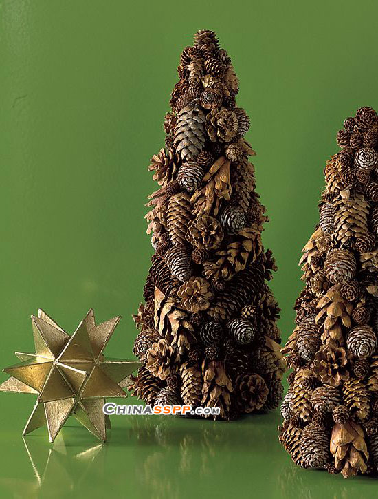 ʥ�Q��(l��i)�������@Щ�b�Ʒ