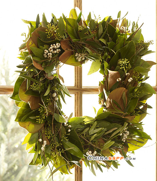 ʥ�Q��(l��i)�������@Щ�b�Ʒ