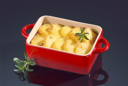 ��echenprofi�N���OӋ