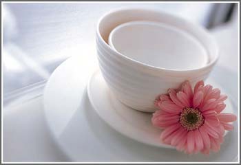 �ɐ�(��i)�;�׌С�Y�Ĵˑ��ϏN