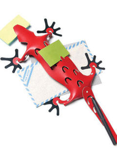 �ǳ��ɐ�(��i)��Ƥ��ռ{С���