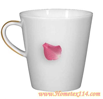 �����һ��t�����Ĳ;�������