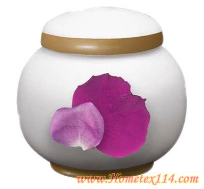 �����һ��t�����Ĳ;�������