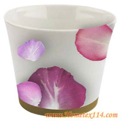 �����һ��t�����Ĳ;�������