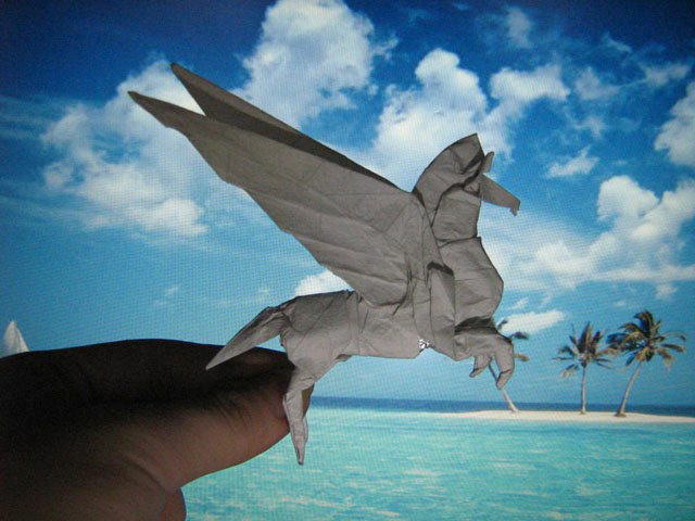 ���W(w��ng)�������ۼ��܏���