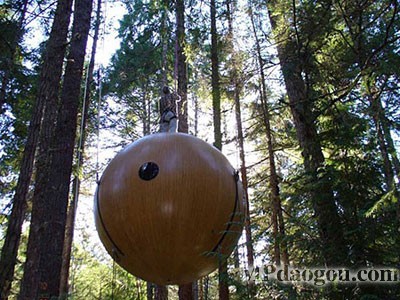 ������˼��(chu��ng  )�����w�Ƅ�(d��ng)����