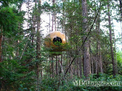 ������˼��(chu��ng  )�����w�Ƅ�(d��ng)����