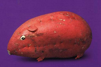 Ω��ΩФ�Ą�(chu��ng  )���߲�����