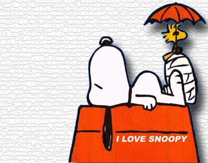 ȫ��10��(g��)���ܚgӭ�Ŀ�ͨ����