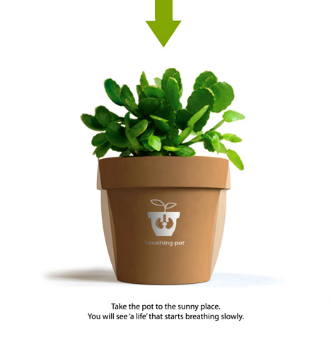 ��(hu�� )���������Ļ��脓(chu��ng  )��ɫ��