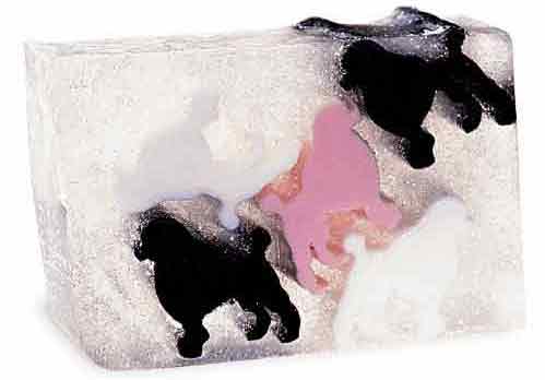 �ɐ�(��i)�����⣺���������������