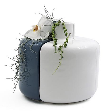 �O�߄�(chu��ng  )�����𗉿����