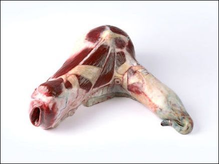 �в����i�����ļҾ���Ʒ