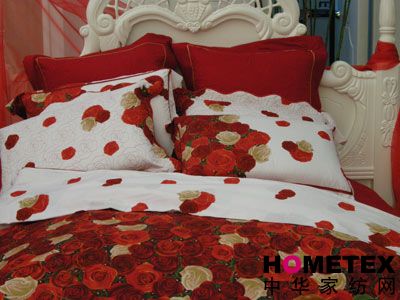 ����܇(ch��)�Ҽ�2008�ﶬ��Ʒ�l(f��)����(hu�� )