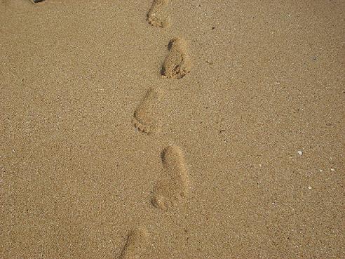 ʩ�����������΄�(chu��ng  )�I(y��)�ɹ���