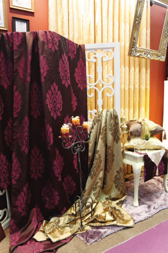 2008���ڇ��H�Ҽ�չ͹�@�������c(di��n)