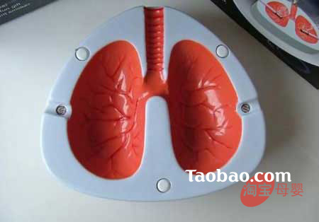 �gЦ�r(sh��)�����˹��������