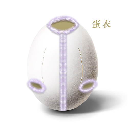 ���᣺�u����(chu��ng  )����Ʒ���p