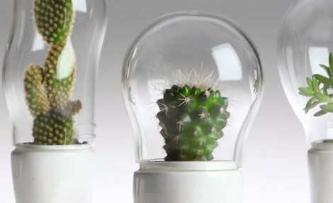 ������Ц����ѝ�ӵ�����