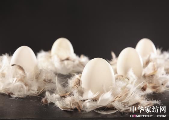 �Ї���q���߮a(ch��n)�I(y��)�l(f��)չ�ߌ�Փ�����_(k��i)