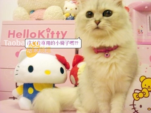 ���ɐ�(��i)HelloKittyĥ��������