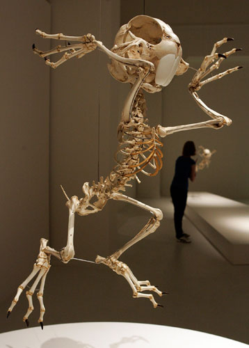 ��ʿ����ͨ�������tչ