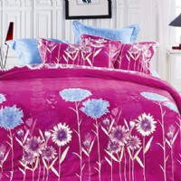 �z¶���Z(y��)