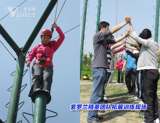 ���_�m��Ӣ�F���չӖ���Y��