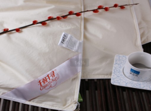 ǧ��ǧ����q��2010��Ʒ�l(f��)����(hu�� )