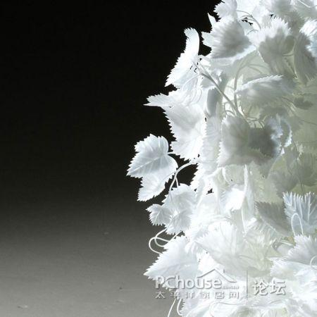 ���׵Ę�(sh��)�~�����Є�(chu��ng  )�⵫�ܹª�