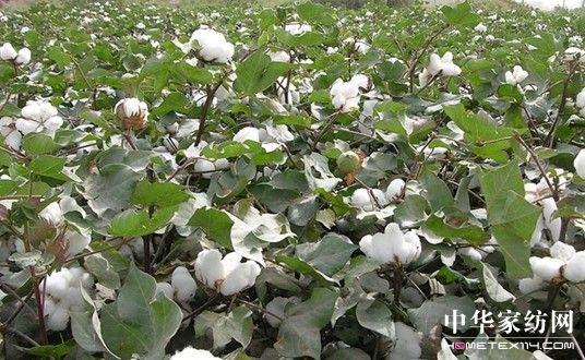 ����Ҽ�ռ���YԴ��(y��u)��