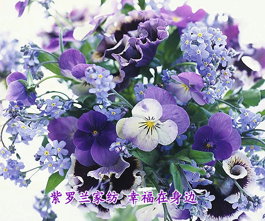 ���_�m�Ҽ��Ҹ�����߅