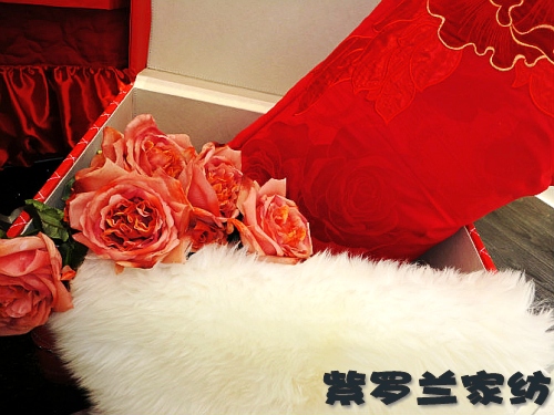 ���_�mƷ�ƘO���貼���