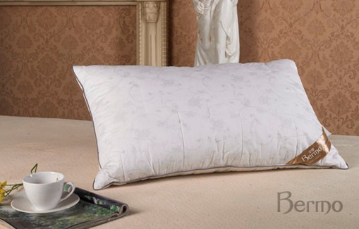 ���z���P(gu��n)��(��i)���H�ġ�о������