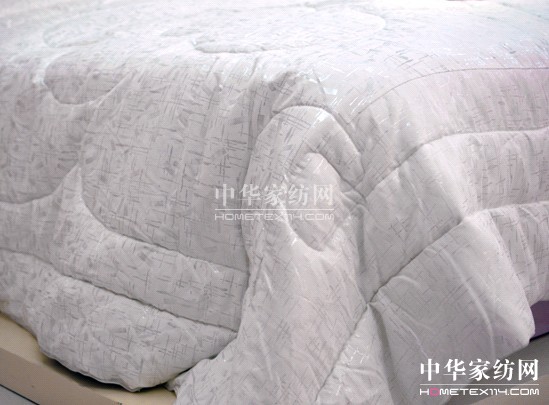 �{���Ҽ�2011�����ƏV��