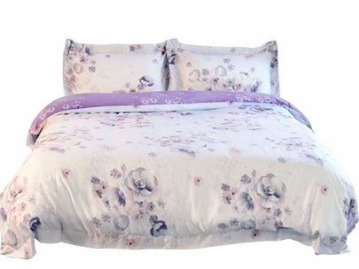 ���m�Ҽ��Ƴ��W(w��ng)ֱُ�N(xi��o)Ʒ��Bassi