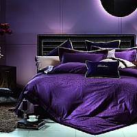 ���ȣ�FYSZ001-6��