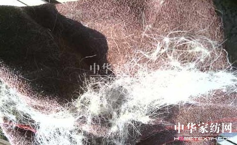 �t��ʿ�Ҽ��|(zh��)���T(m��n)�������