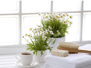 ���|(zh��)�Ҽ�������������