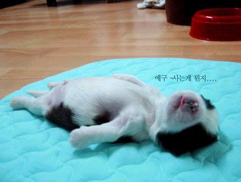 �H�������˯һС�r(sh��)����