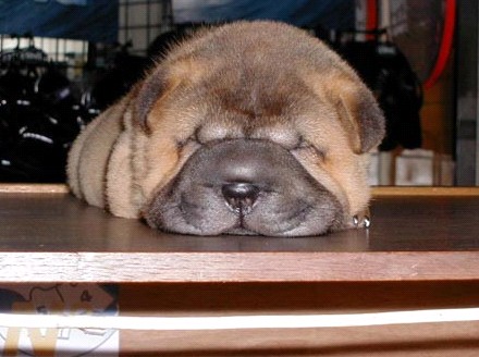 �H�������˯һС�r(sh��)����