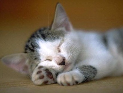 �H�������˯һС�r(sh��)����