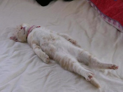 �H�������˯һС�r(sh��)����