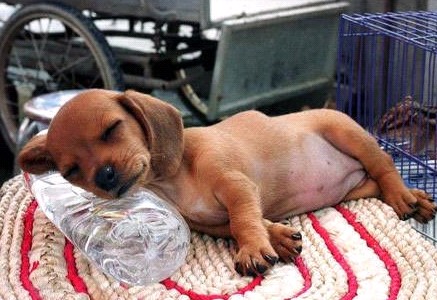 �H�������˯һС�r(sh��)����