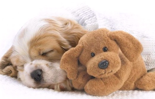 �H�������˯һС�r(sh��)����