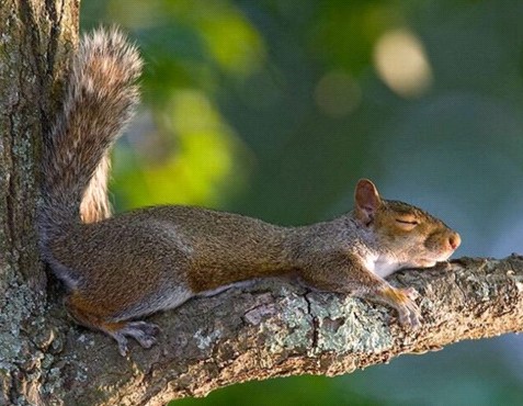 �H�������˯һС�r(sh��)����